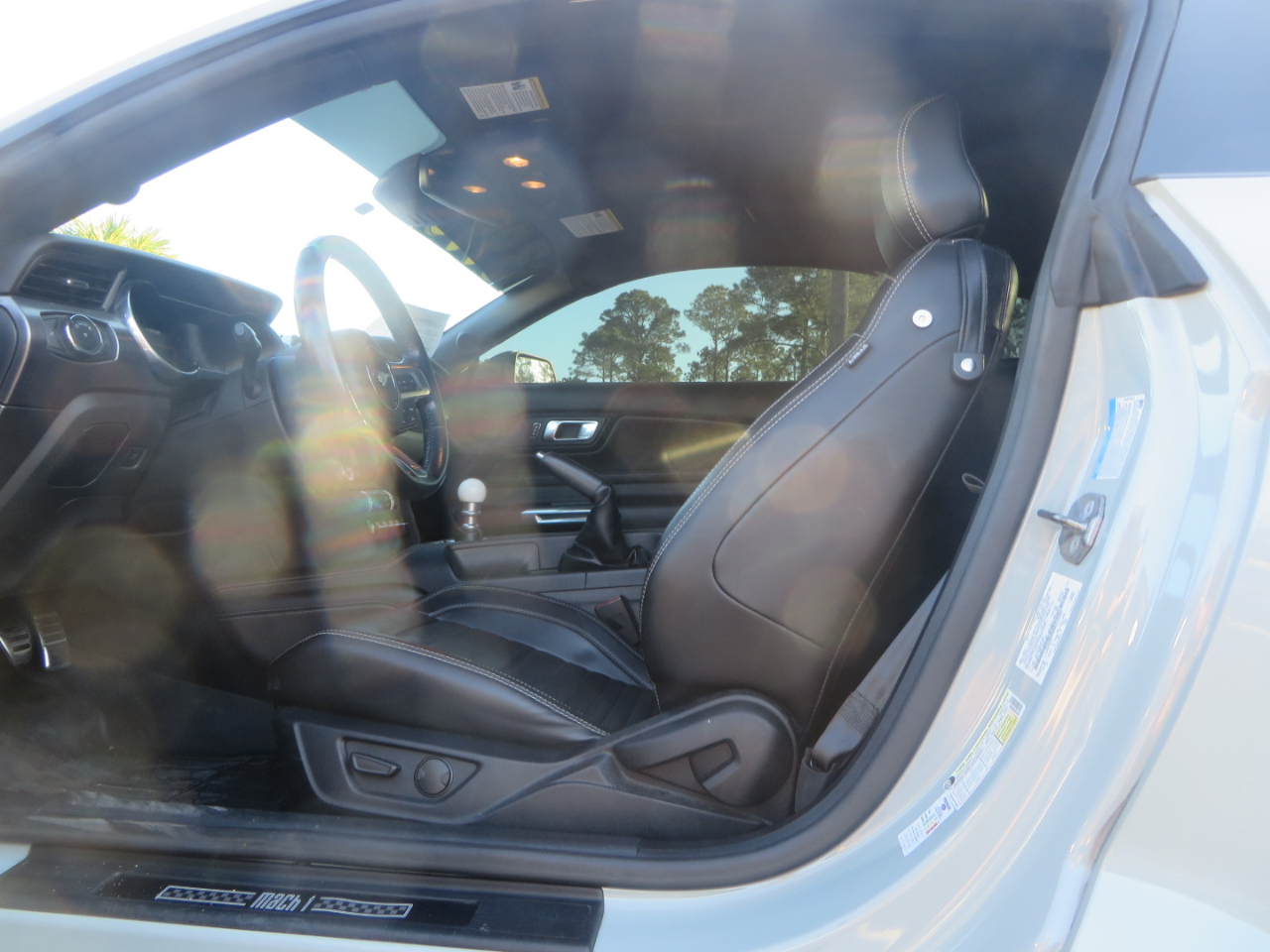 Ford Mustang Mach 1 Fastback 2021