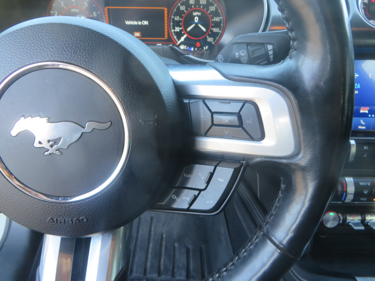 Ford Mustang Mach 1 Fastback 2021