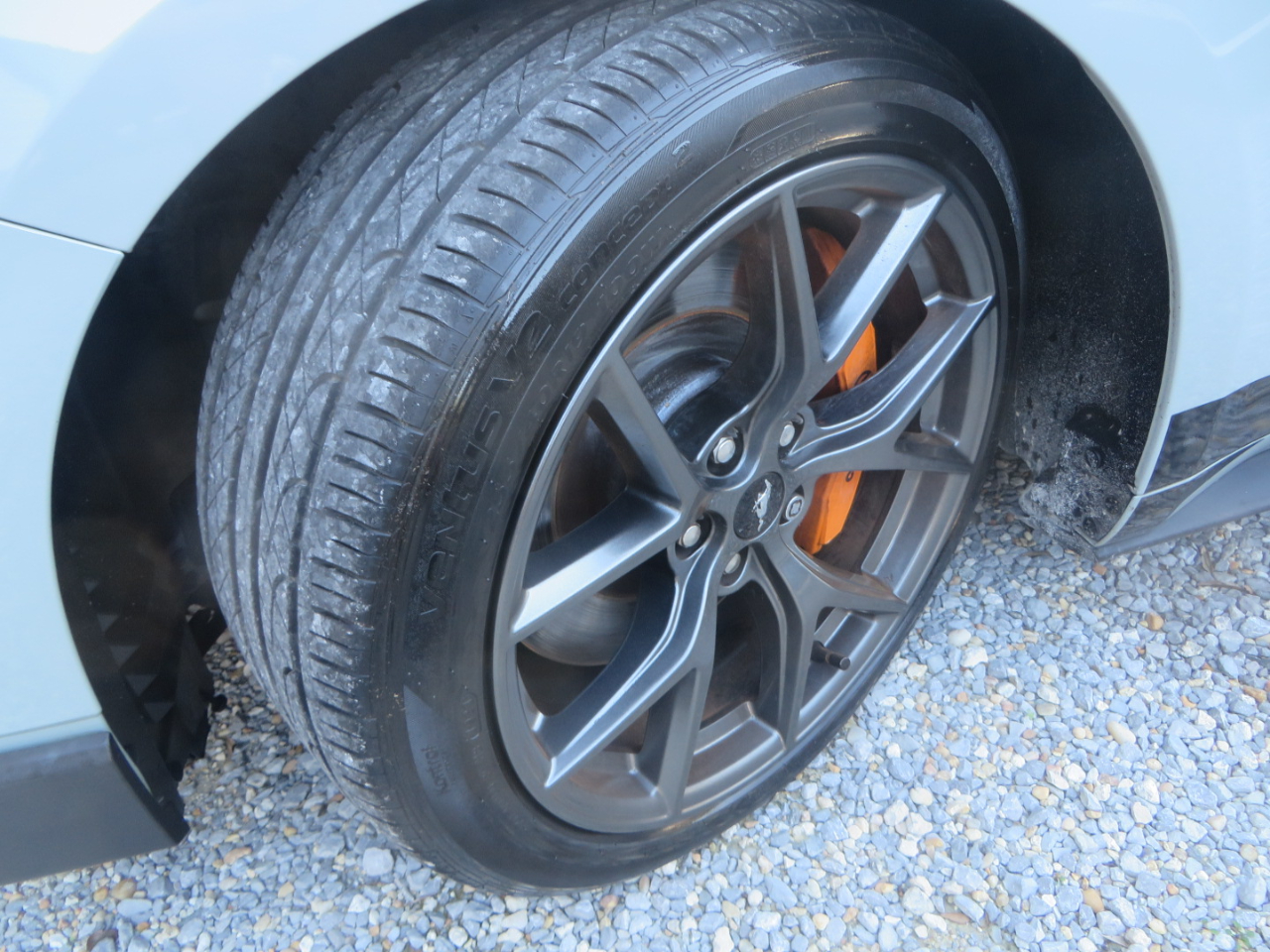 Ford Mustang Mach 1 Fastback 2021