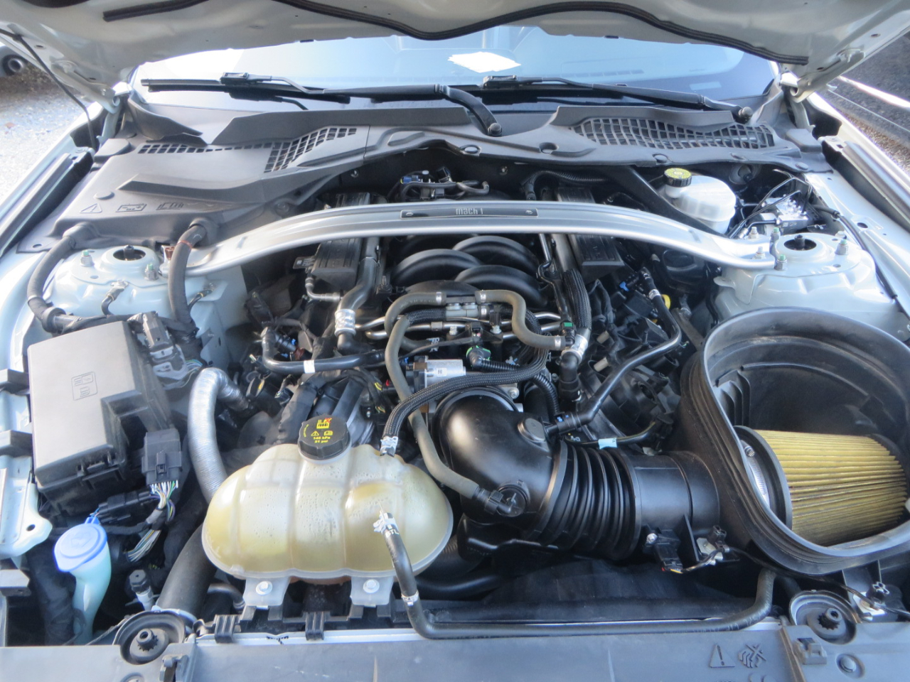 Ford Mustang Mach 1 Fastback 2021