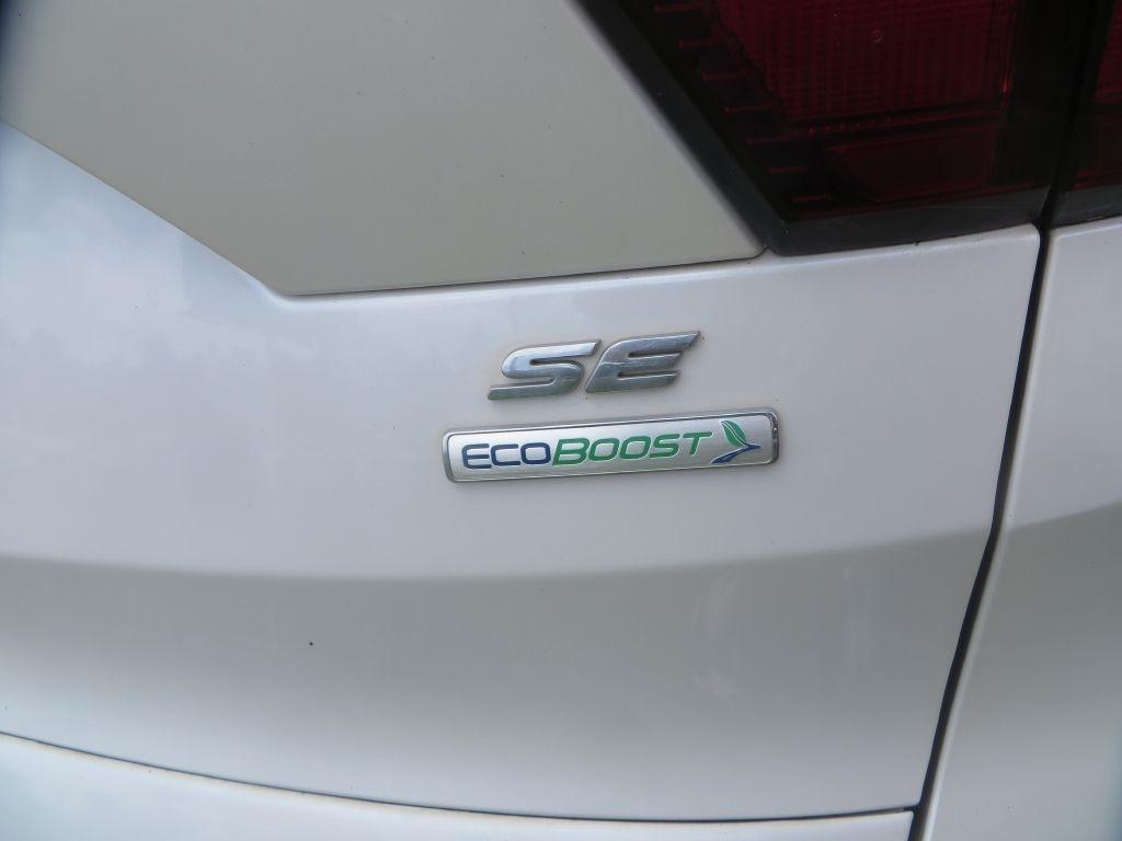 Ford Escape  2019