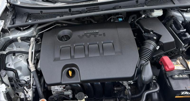 Toyota Corolla LE 2019