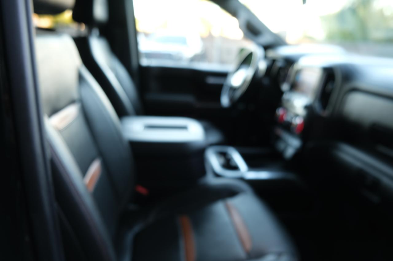 GMC Sierra 1500 4WD Crew Cab 147" AT4 2019