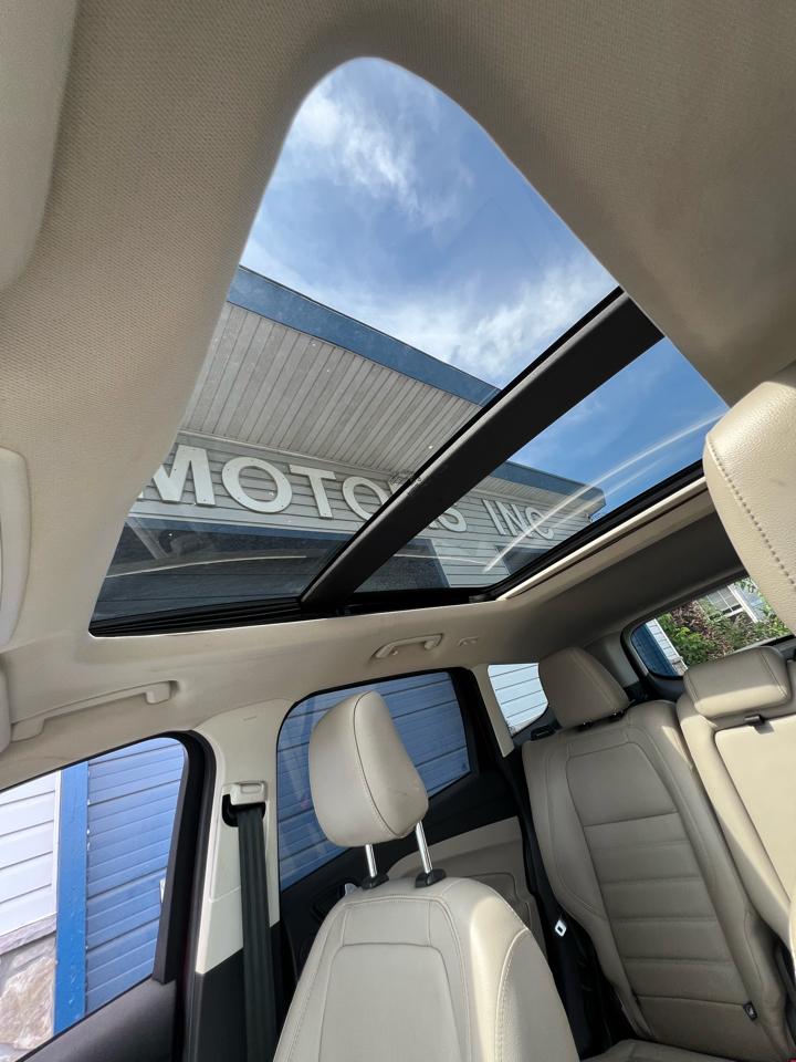 Ford Escape  2019