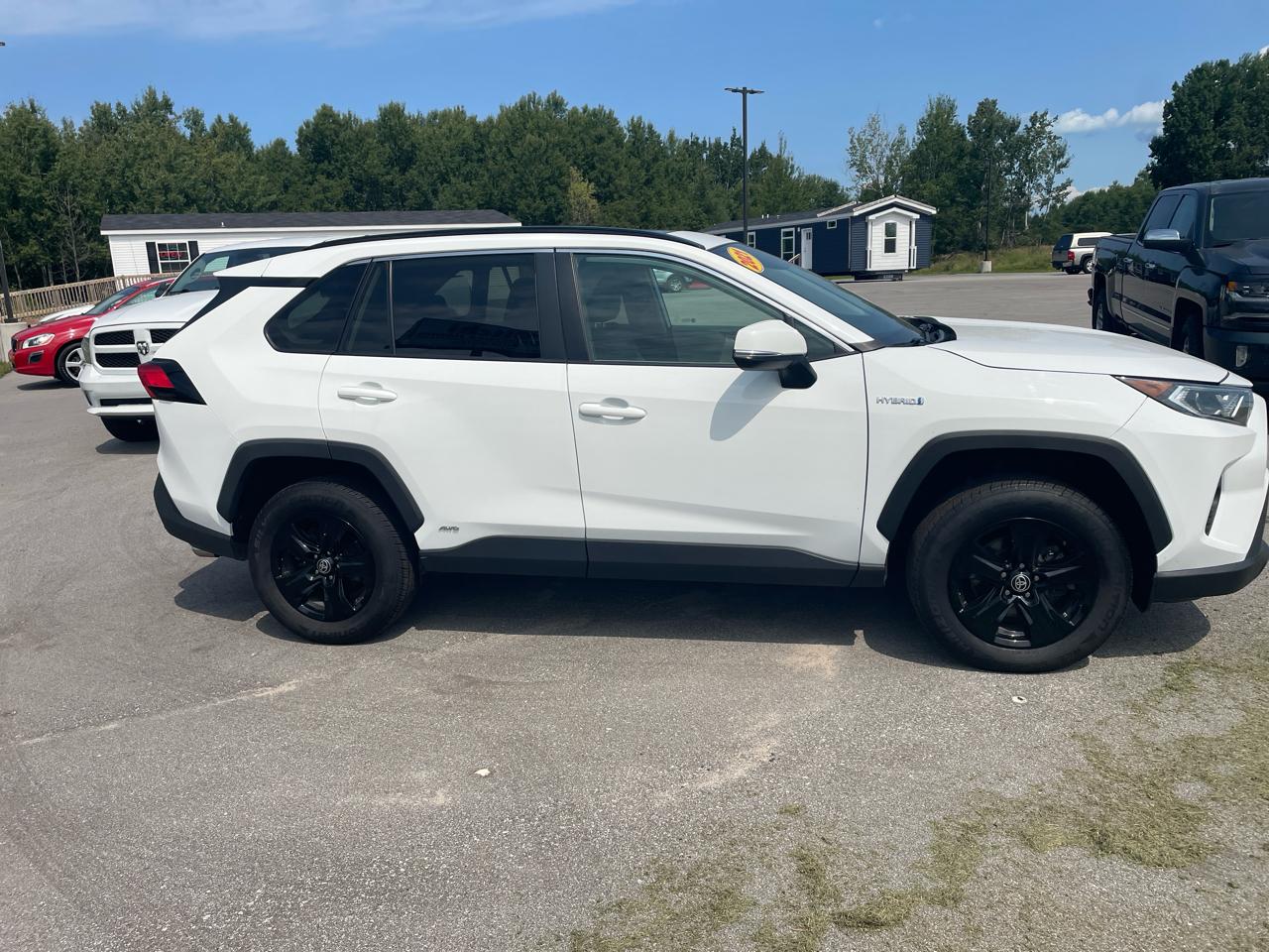 Toyota RAV4 Hybrid XLE AWD (Natl) 2021