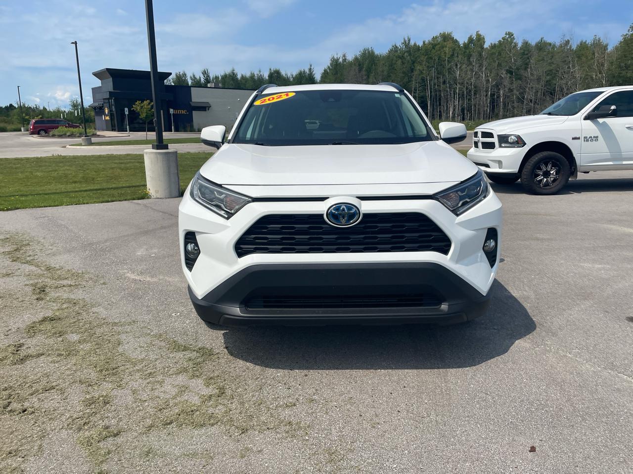 Toyota RAV4 Hybrid XLE AWD (Natl) 2021