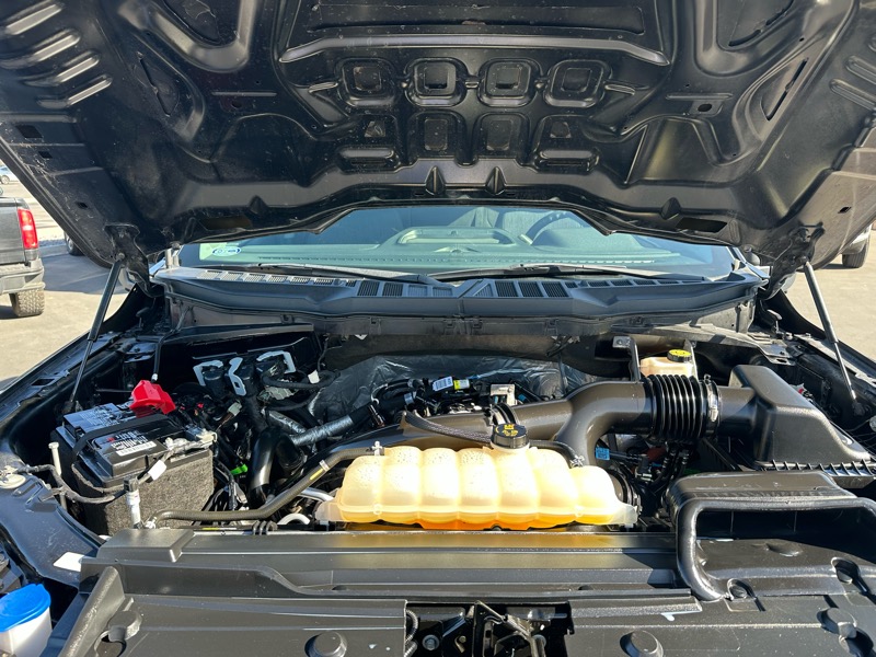 Ford F-150 XL SuperCrew 6.5-ft. Bed 4WD 2021