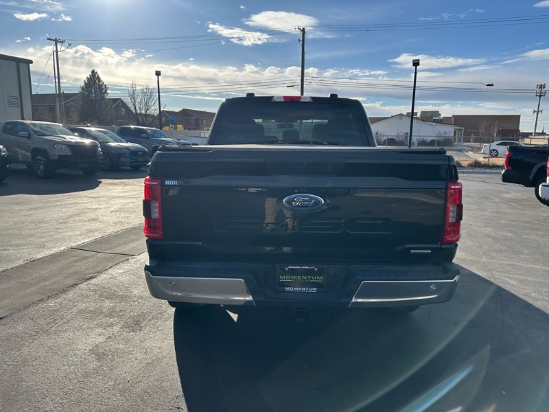 Ford F-150 XL SuperCrew 6.5-ft. Bed 4WD 2021