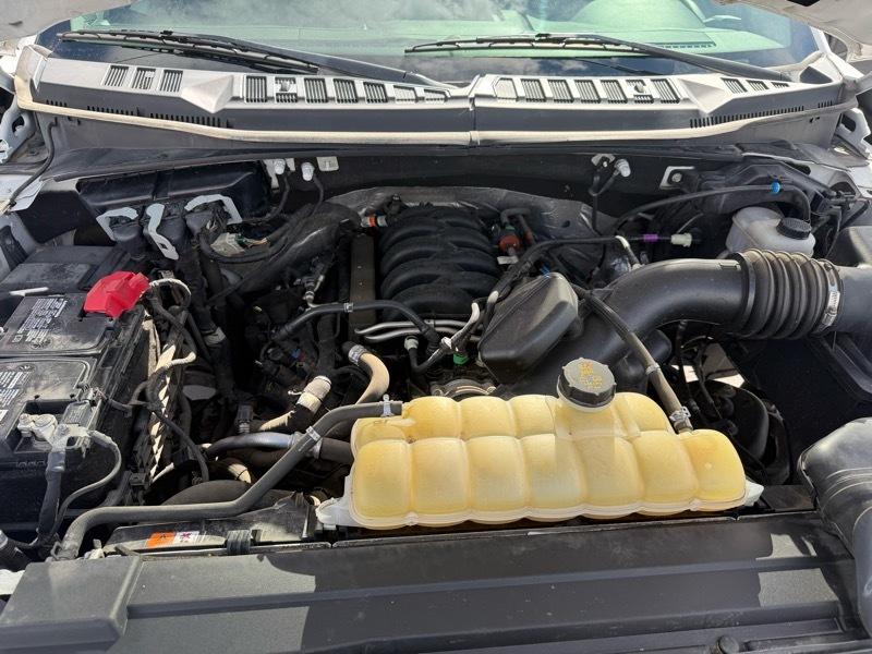 Ford F-150 XL 6.5-ft. Bed 2WD 2019