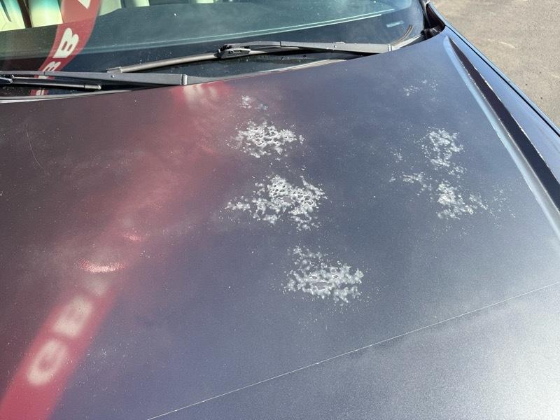 Subaru Outback 3.0R L.L.Bean Edition 2008