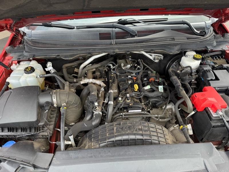 Ford Ranger XLT SuperCrew 4WD 2019