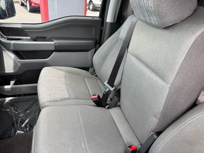 Ford F-150 XL SuperCrew 6.5-ft. Bed 4WD 2023