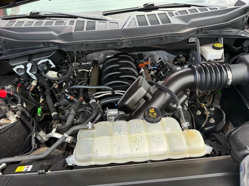 Ford F-150 XL SuperCrew 6.5-ft. Bed 4WD 2023