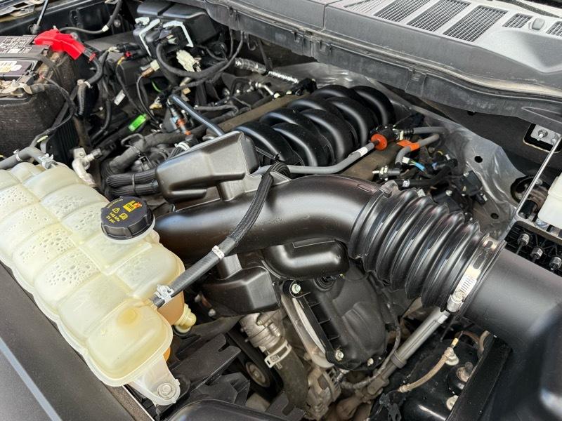 Ford F-150 XL SuperCrew 6.5-ft. Bed 4WD 2023