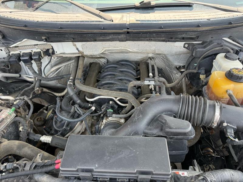 Ford F-150 XL SuperCrew 5.5-ft. Bed 4WD 2013