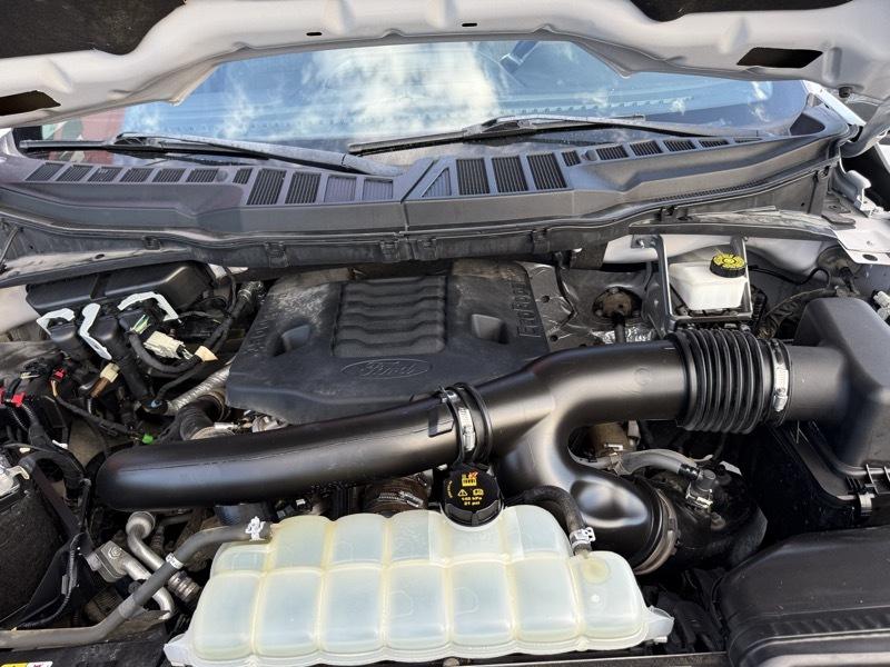 Ford F-150 XLT SuperCrew 5.5-ft. Bed 4WD 2022