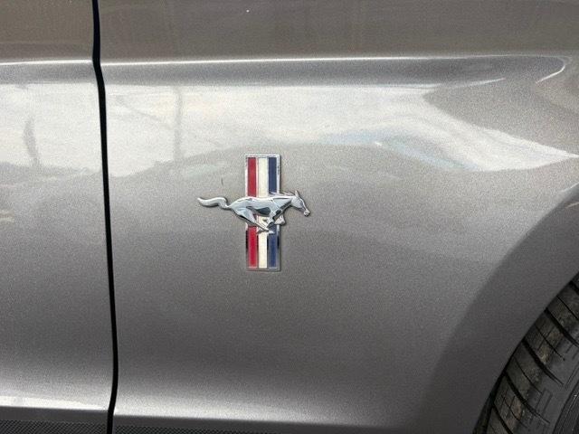 Ford Mustang V6 Coupe 2013