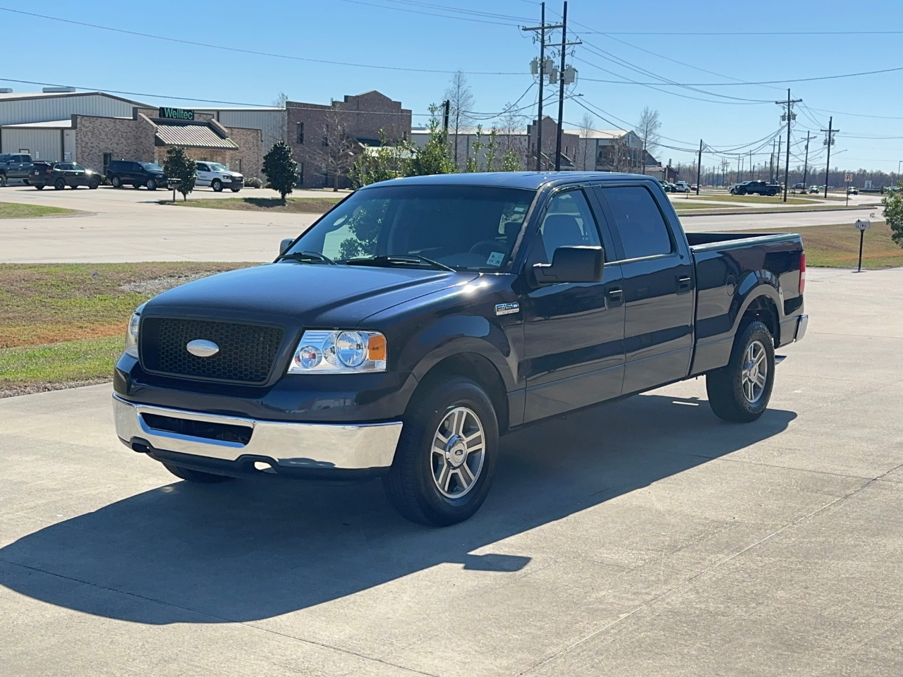 Ford F-150 XLT SuperCrew 6.5-ft Box 2WD 2006