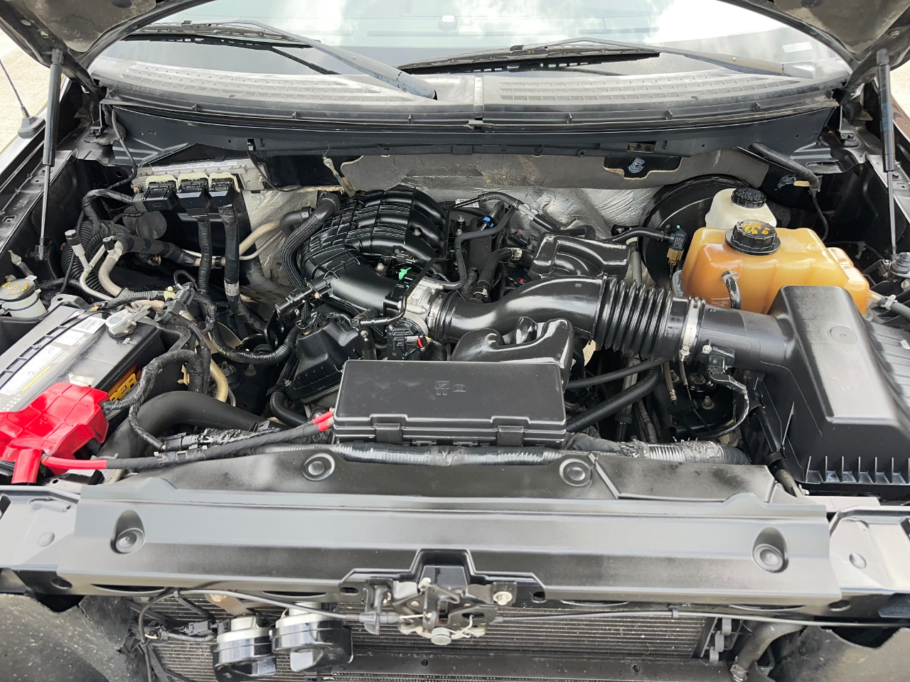 Ford F-150 XLT SuperCrew 5.5-ft. Bed 2WD 2011