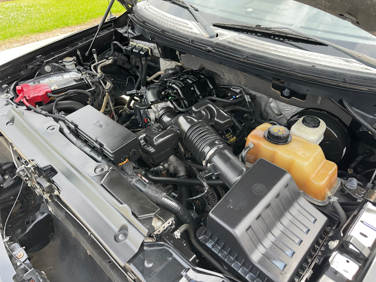 Ford F-150 XLT SuperCrew 5.5-ft. Bed 2WD 2011