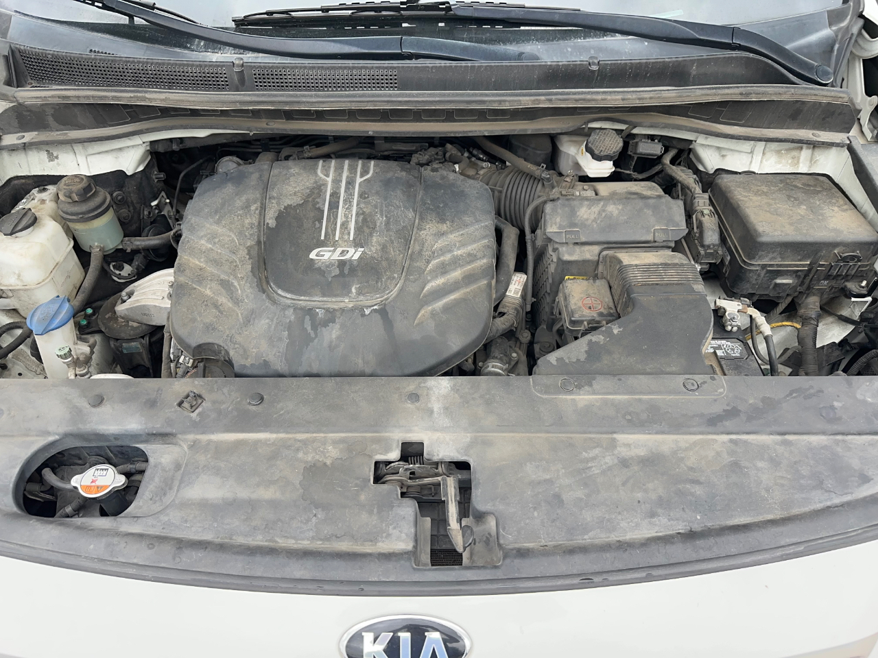 Kia Sedona LX 2017