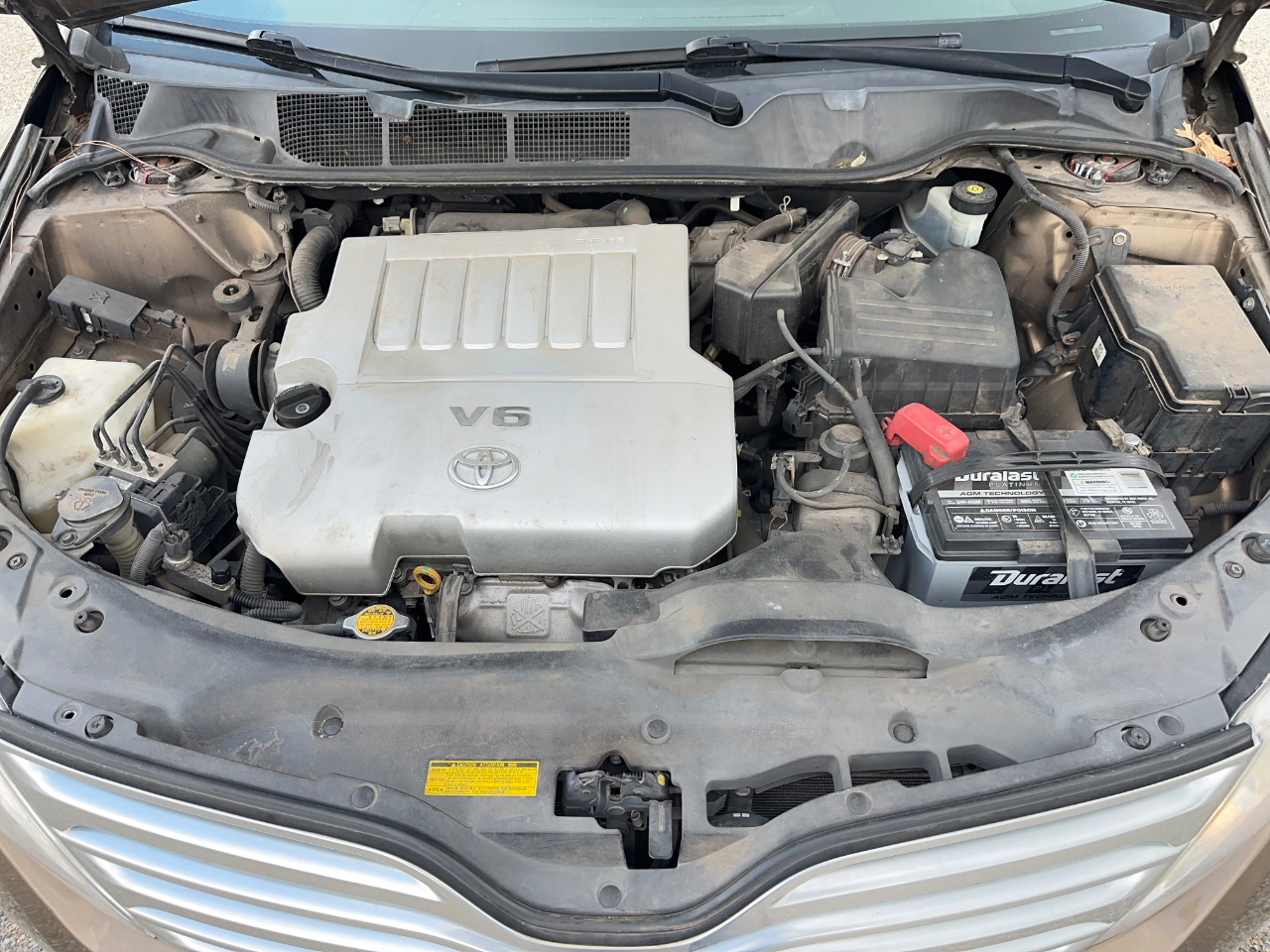 Toyota Venza  2009