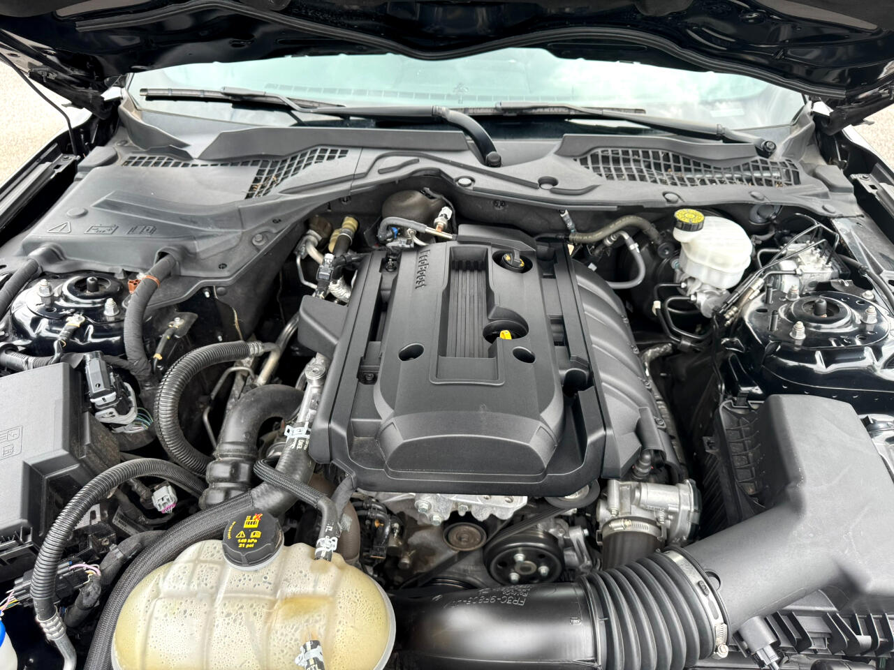 Ford Mustang EcoBoost Fastback 2020 Ford Mustang EcoBoost Fastback 2020