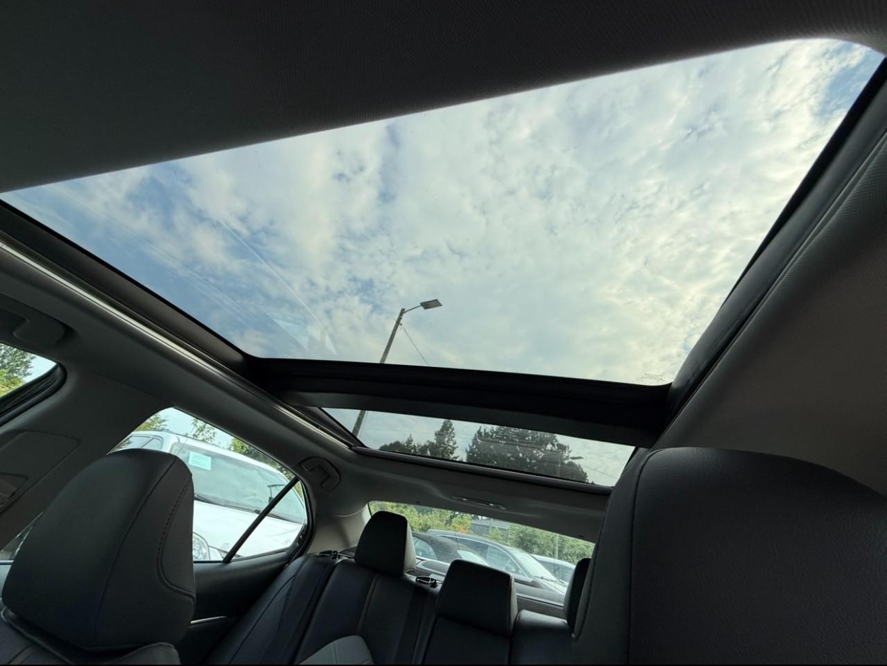 Toyota Camry XLE Auto (Natl) 2018