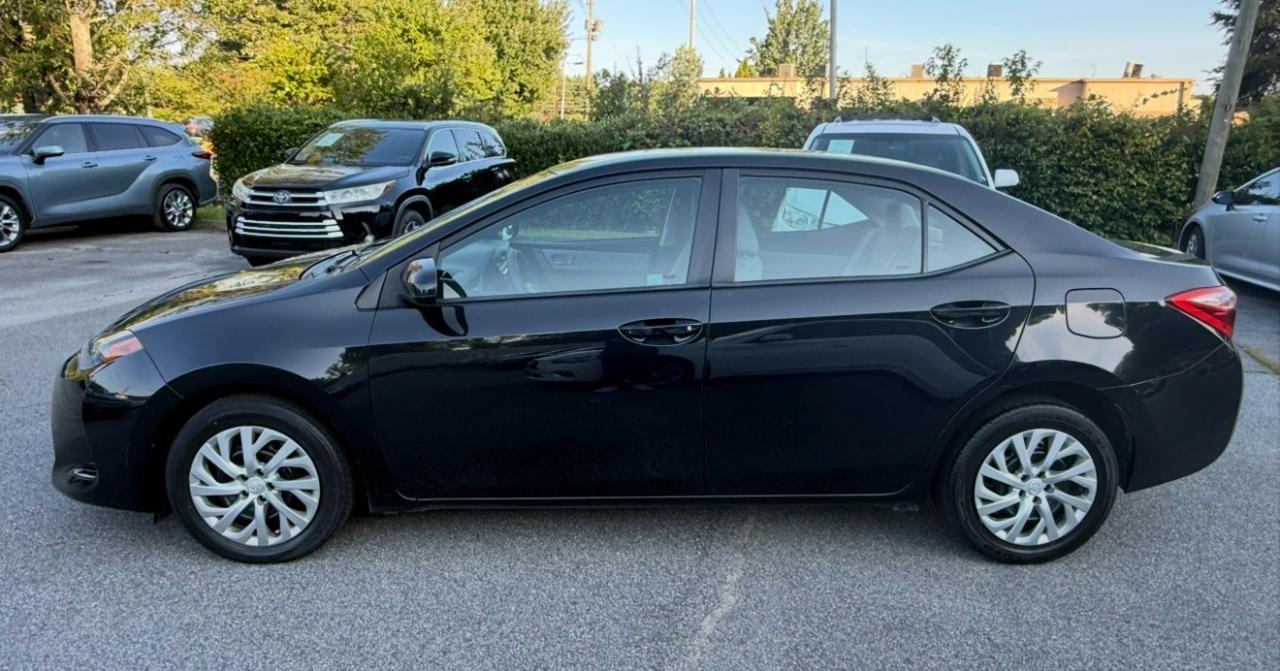 Toyota Corolla XLE CVT (Natl) 2019