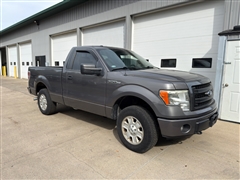 2013 Ford F150  2013 Ford F150