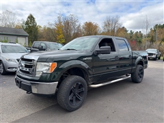 2013 Ford F150  2013 Ford F150