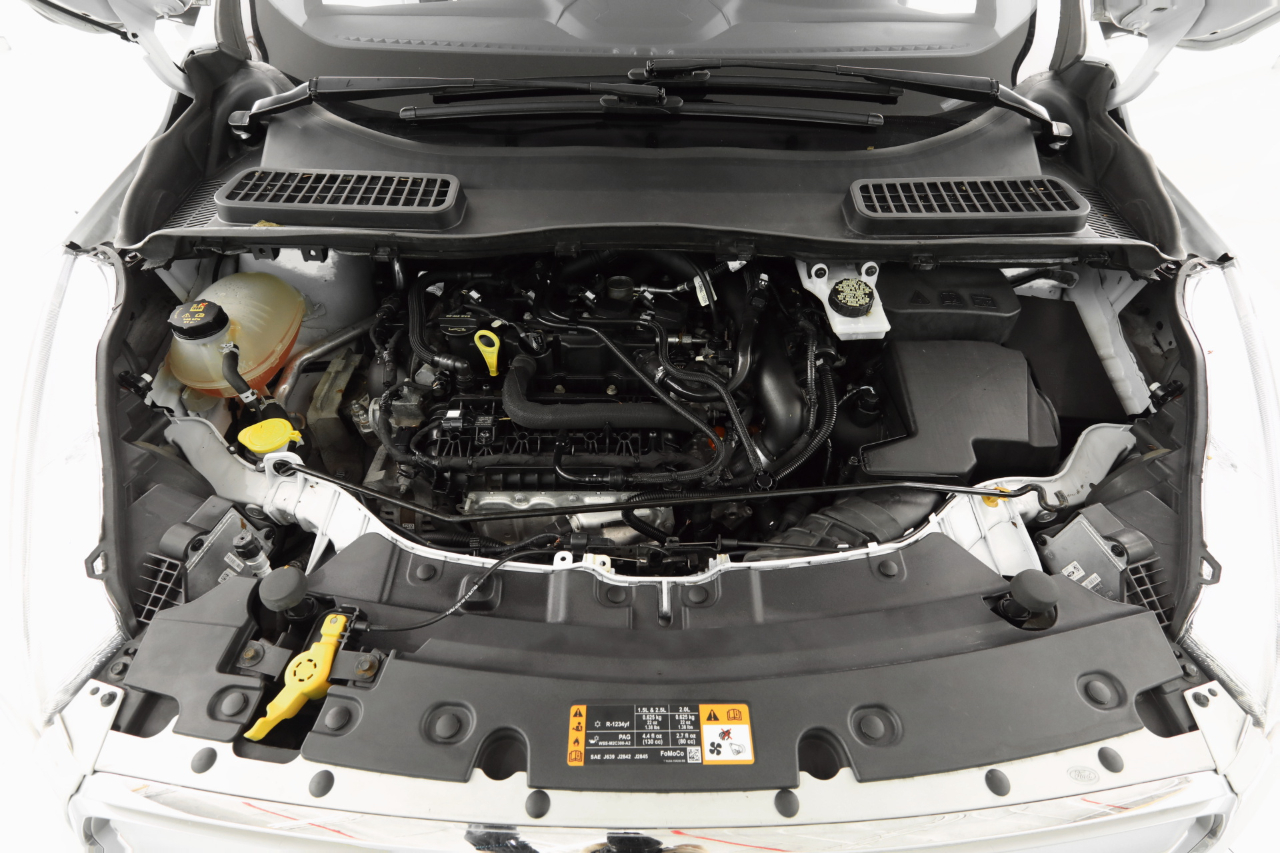 Ford Escape SEL 4WD 2019