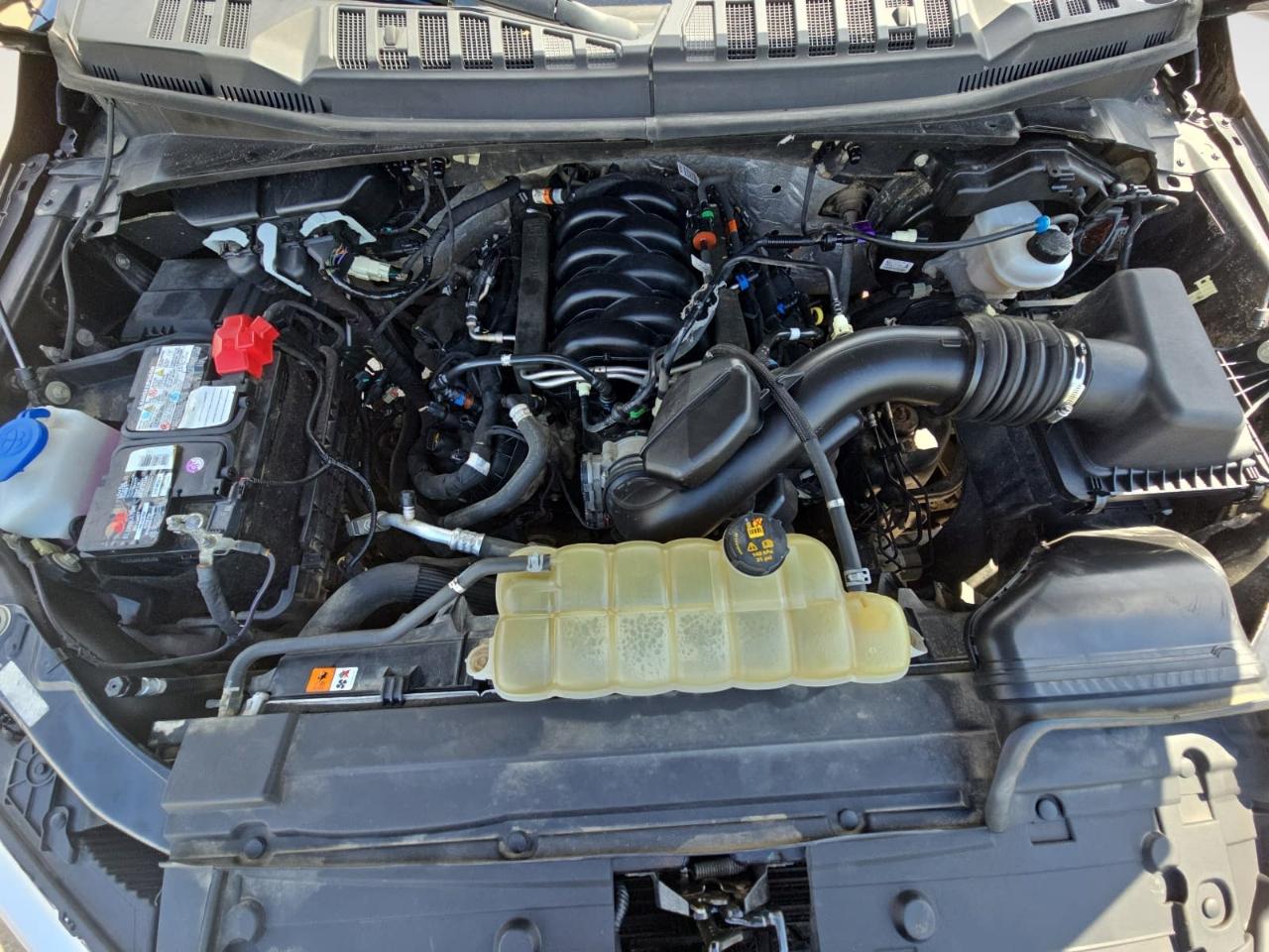 Ford F150  2019