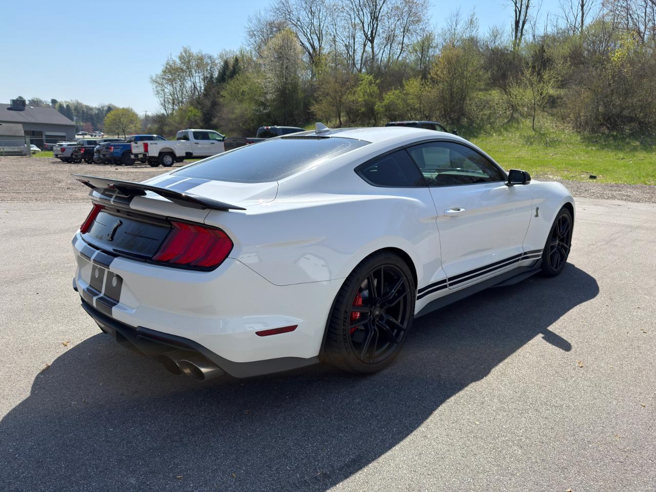 Ford Shelby GT500 Coupe 2022
