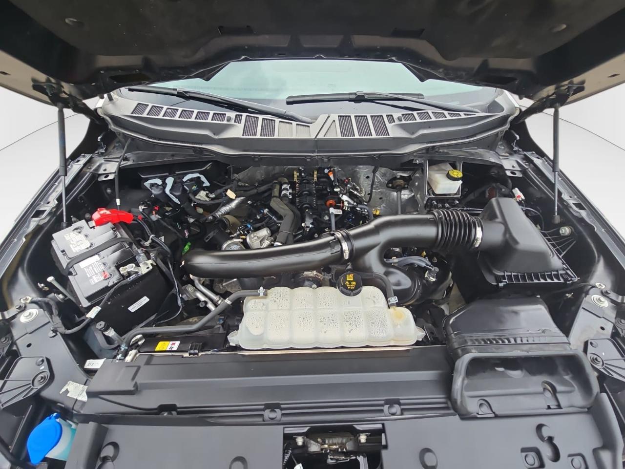 Ford F150 XLT Supercrew 4WD 2024