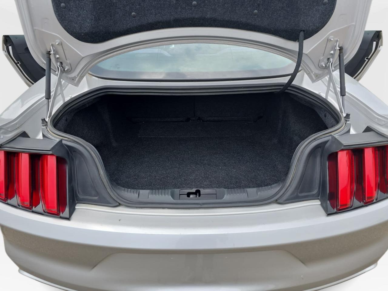 Ford Mustang EcoBoost Premium Coupe 2015