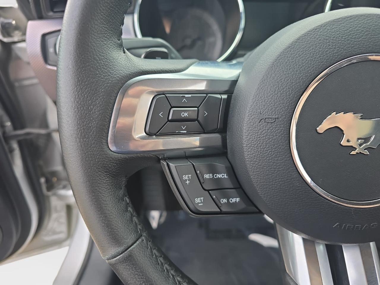 Ford Mustang EcoBoost Premium Coupe 2015