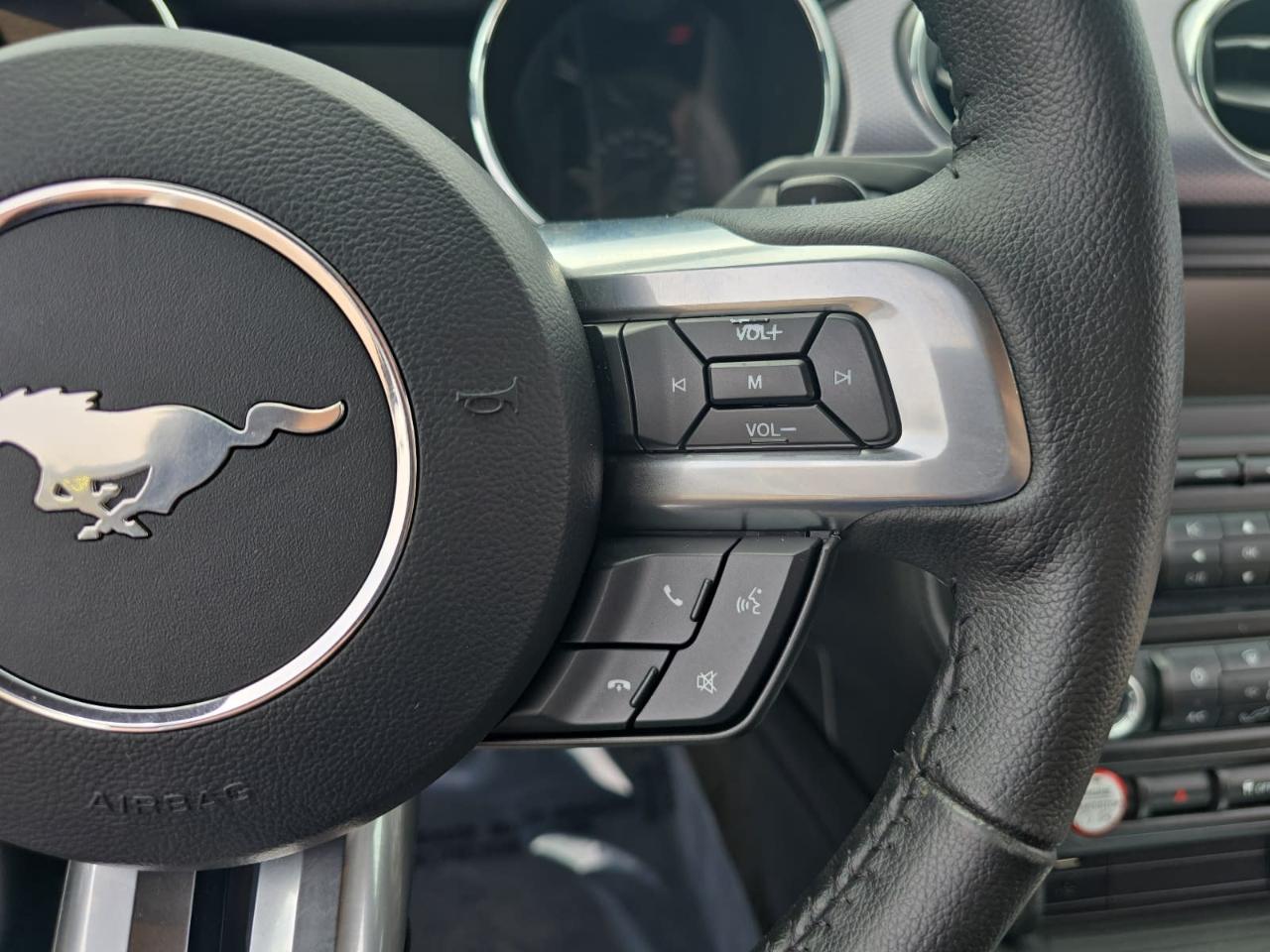 Ford Mustang EcoBoost Premium Coupe 2015