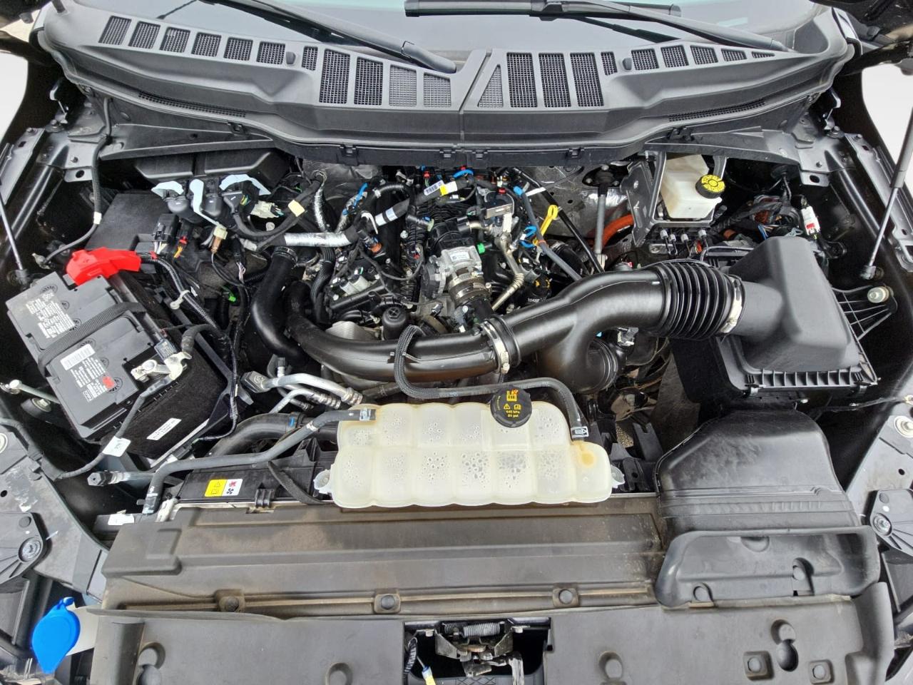 Ford F150 XLT Supercrew 4WD 2024