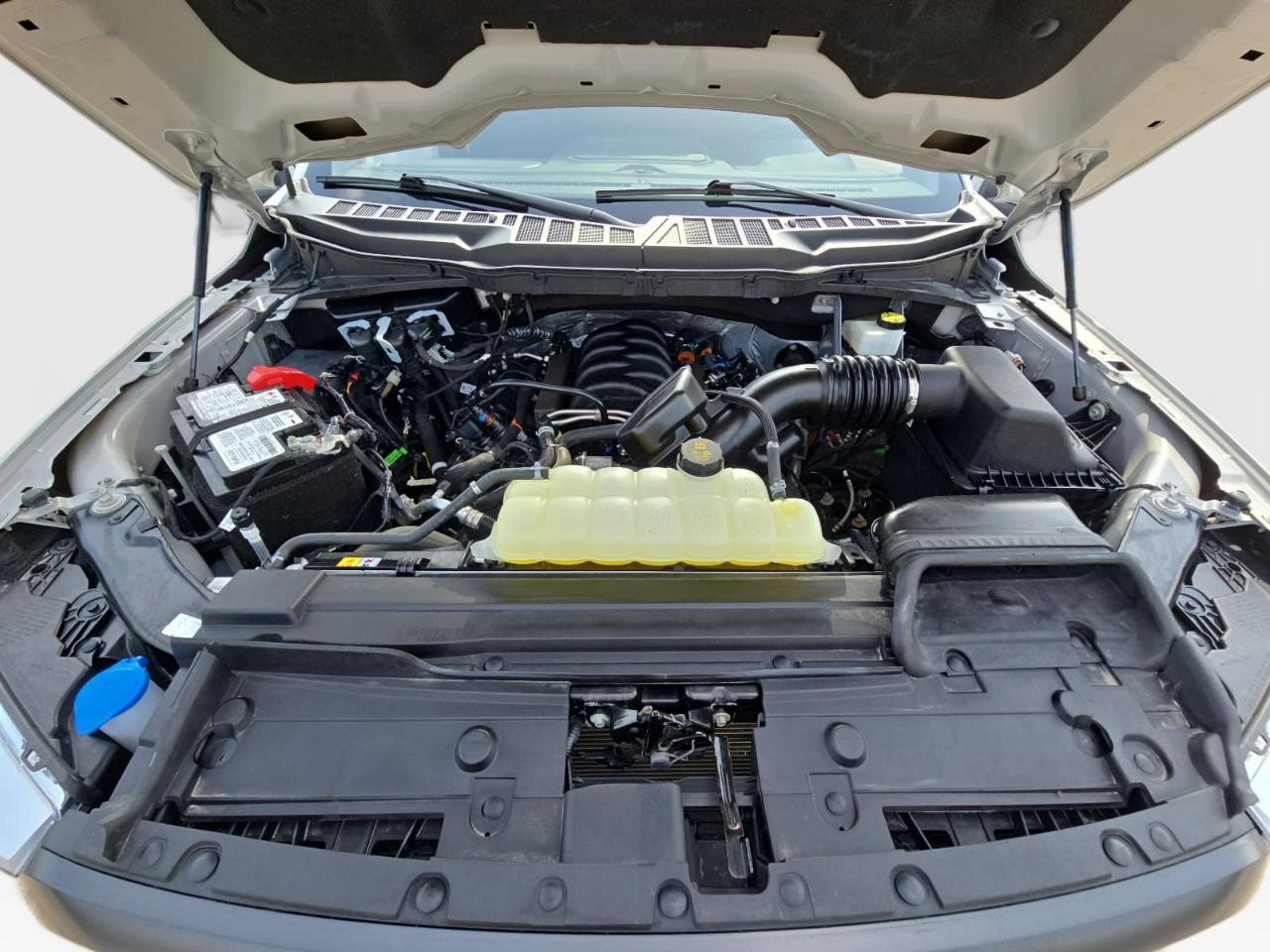 Ford F150  2023
