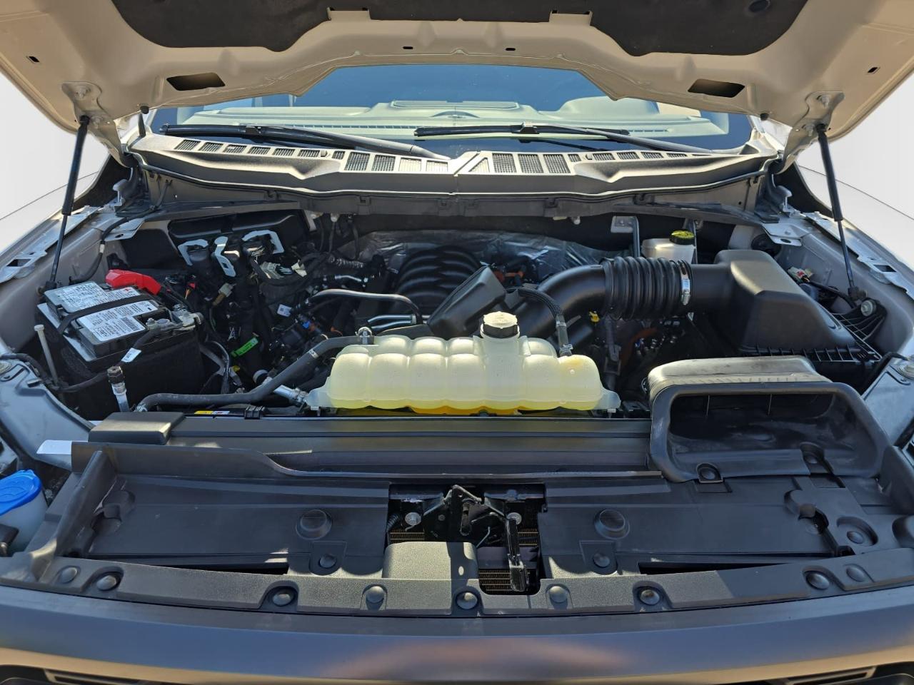 Ford F150  2023