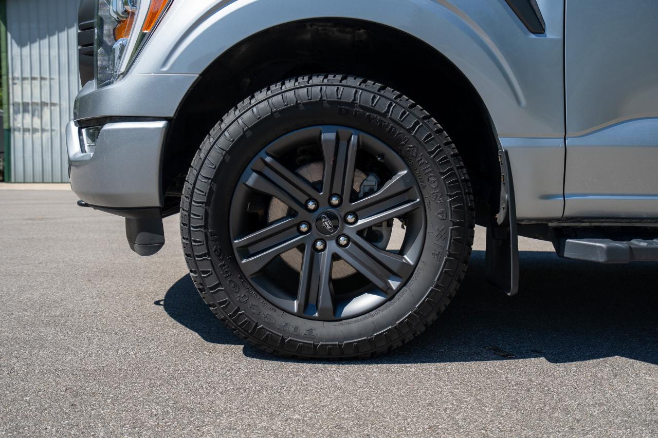 Ford F150  2023