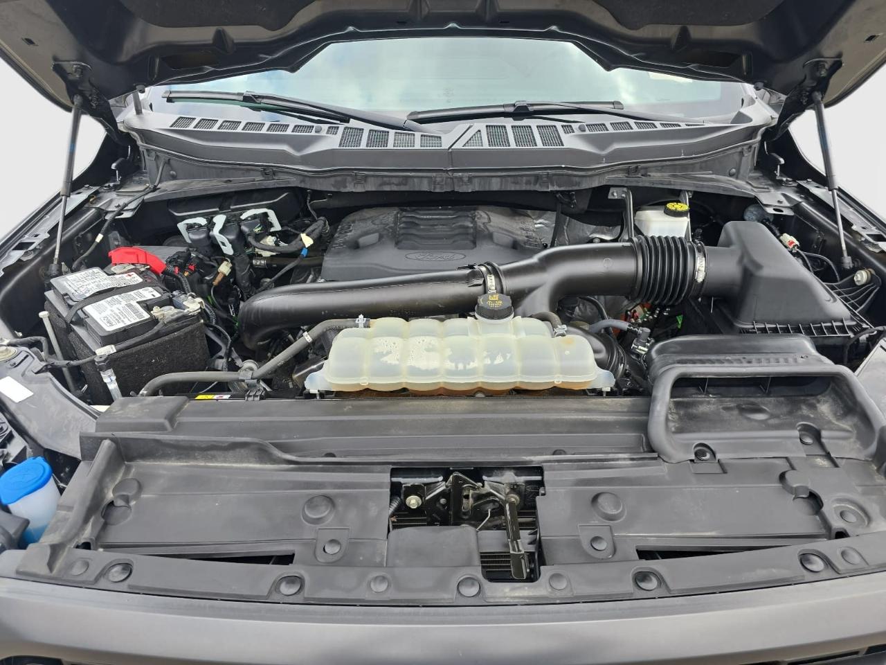 Ford F150  2023