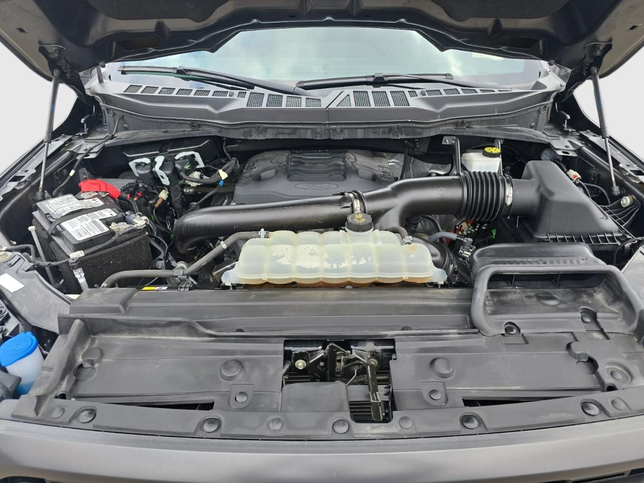 Ford F150  2023