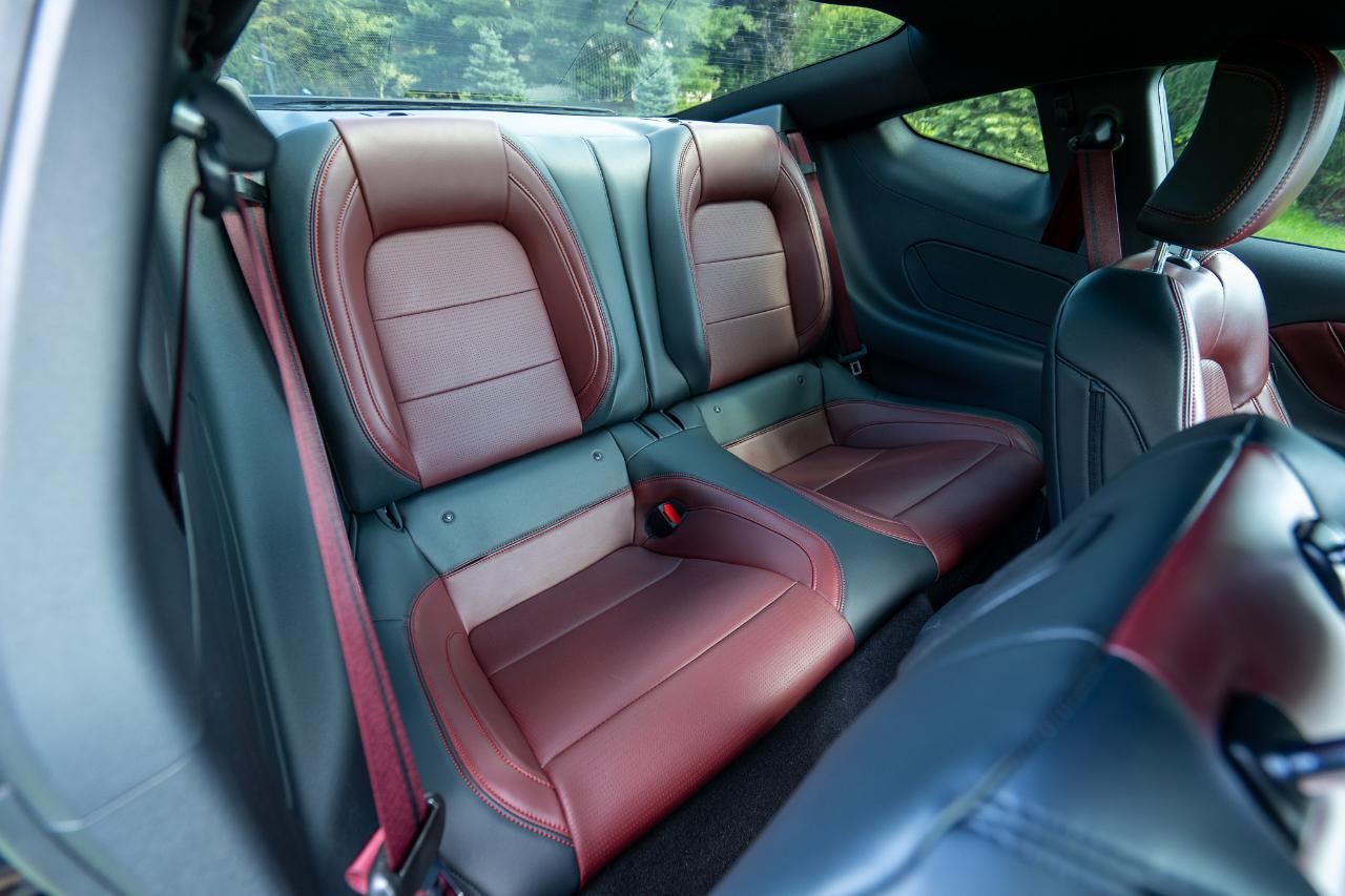 Ford Mustang GT Premium Fastback 2024