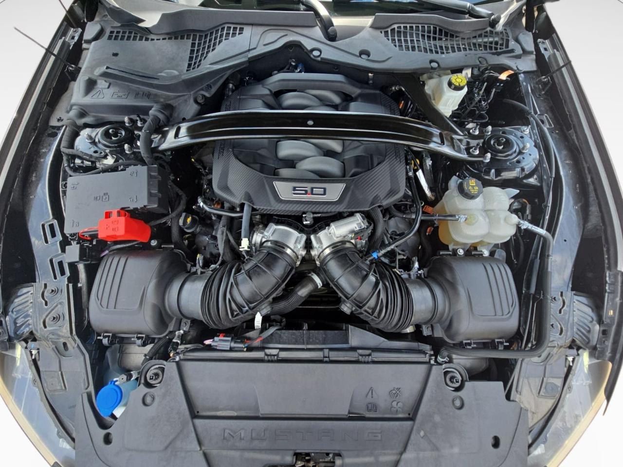 Ford Mustang GT Premium Fastback 2024