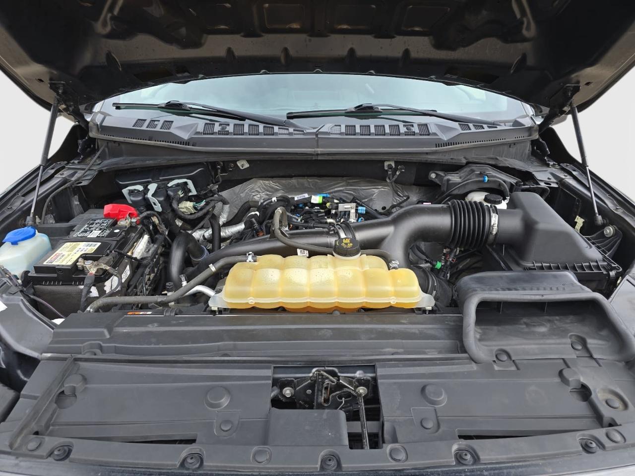 Ford F150 STX Supercrew 4WD 2019