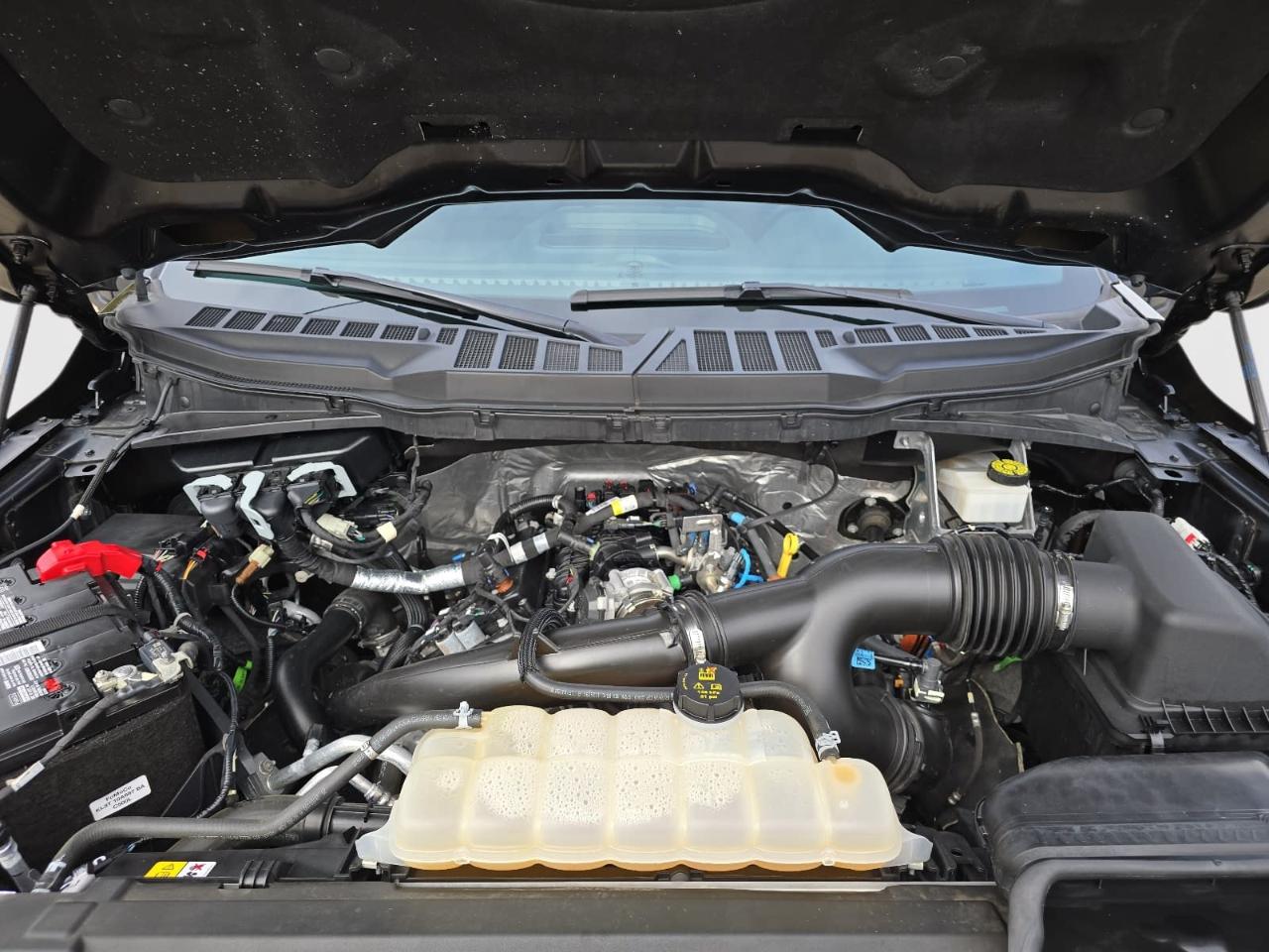 Ford F150 XLT Supercrew 4WD 2024