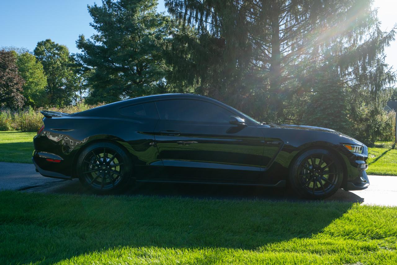 Ford Shelby GT350  2017