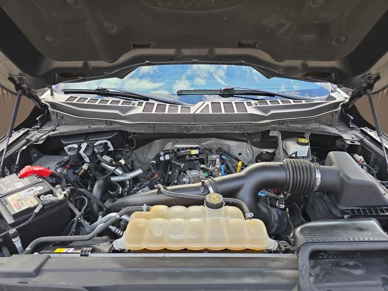 Ford F150  2022